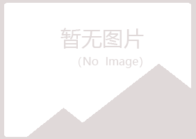 黄山黄山南蕾机械有限公司